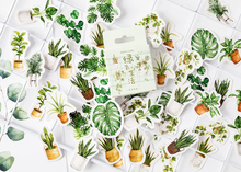 Load image into Gallery viewer, House Plant Paper Stickers
