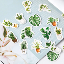 Load image into Gallery viewer, House Plant Paper Stickers
