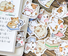 將圖片載入圖庫檢視器 Little Chibi Cat Stickers

